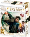 3D-Puzzle Harry Potter-Harry Potter 300 Teile