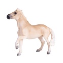 Moj konj Brumby Mare