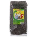 Sonnenblume Avicentra schwarz 1kg