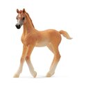 Schleich Araberfohlen