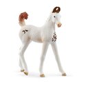 Schleich Animal - Potro marwari
