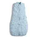 ERGOPOUCH Vak a overal na spanie 2v1 organická bavlna Suit Dragonflies 3-12 m, 6-10 kg, 0,