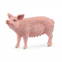 Schleich Cerdo