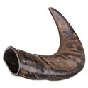 Corno da masticare Genuine buffalo medio