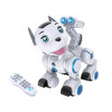 Robo-pes RC