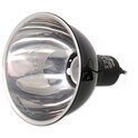 Rasvjeta Repti Planet Dome 14cm