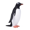 Mojo Pinguino a macchie bianche