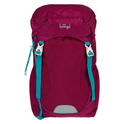 BAAGL Rucsac Tracker Roi