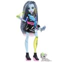 Mattel Monster High Puppe Monster, FRANKIE, JHK31