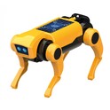 MiniLab RC Robotski Pes