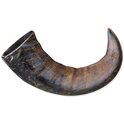 Corno da masticare Genuine buffalo grande