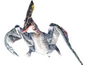 Pterosaurus Plüsch 66cm