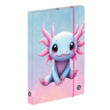 Scatola per quaderni A4 Axolotl