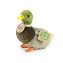 Anatra selvatica di peluche 13 cm ECO-FRIENDLY