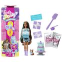 Barbie Party Reveal - тюркоазено