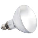 Solarna žarnica Glo 160W