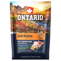 Campione Ontario Adult Medium Fish &amp; Brown Rice 0,1kg
