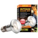 Glühbirne Exo Terra Intense Basking Spot 25W