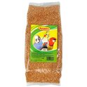 Proso Avicentra žlté 1kg