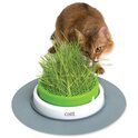 Gazon Catit 2.0