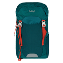 BAAGL Sac Tracker Verde