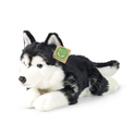 ECO-FRIENDLY 36 cm-es husky plüss kutya