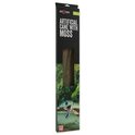 Decor Repti Planet Creperă cu mușchi lățime 1cm lungime 200cm