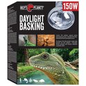 Glühbirne Repti Planet Daylight Basking Spot 150W