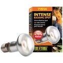 Glühbirne Exo Terra Intense Basking Spot 75W
