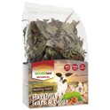 Delicacy Nature Land Botanische Haselnusszweige 50g