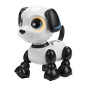 RC Robot Heads Up - Chiot