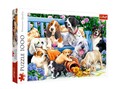 Lösen Sie das Puzzle Hunde im Garten 1000