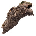 Decorazione Repti Planet Corteccia di sughero M 15-30cm
