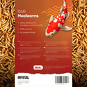Ibuki Mealworms 1000 ml - vermi secchi