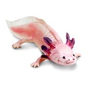 Safari® Axolotl mexický