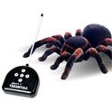 Strašna tarantula RC