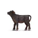 Safari® Angus borjú