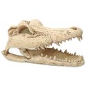 Decoración Repti Planet Cráneo de cocodrilo 13,8x6,8x6,5cm
