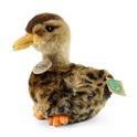 Anatra selvatica di peluche 19 cm ECO-FRIENDLY