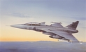 Avionul modelului 2638 - JAS 39 A GRIPEN (1:48)