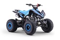 Benzin-Quad für Kinder Beneo Motors ZXT blau - 125cm3