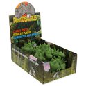 Espositore Dentosaurus con clorofilla 10,5 cm 14 pz