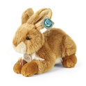 Conejo de peluche 23 cm ECO-FRIENDLY