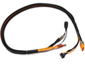 Câble de charge Spektrum Pro Series 4S IC3/5mm