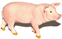 Malac figura 9 cm