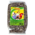Avicentra Sonnenblume 500g