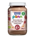 SALVEST Ponn BIO Maliny s cereáliami 200 g