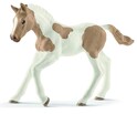 Schleich Zvieratko - Žriebä plemena Paint Horse