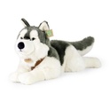 Câine husky de pluș cu guler culcat 60 cm ECO-FRIENDLY