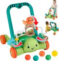 Mattel Fisher Price Trotteur interactif tortue